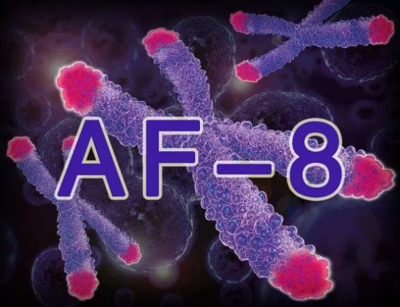 生命动力揭开人类衰老的秘密——端粒和端粒酶